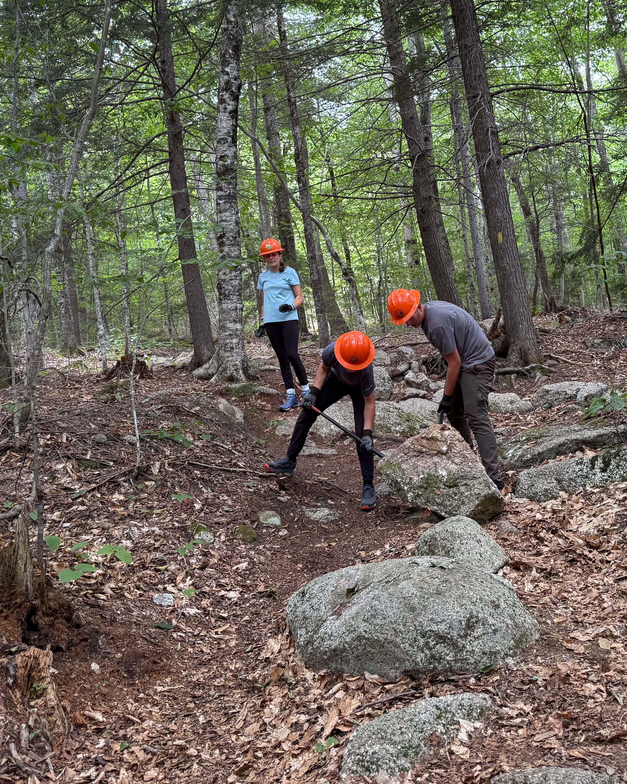 AMC Trail Building Camp - Image 10
