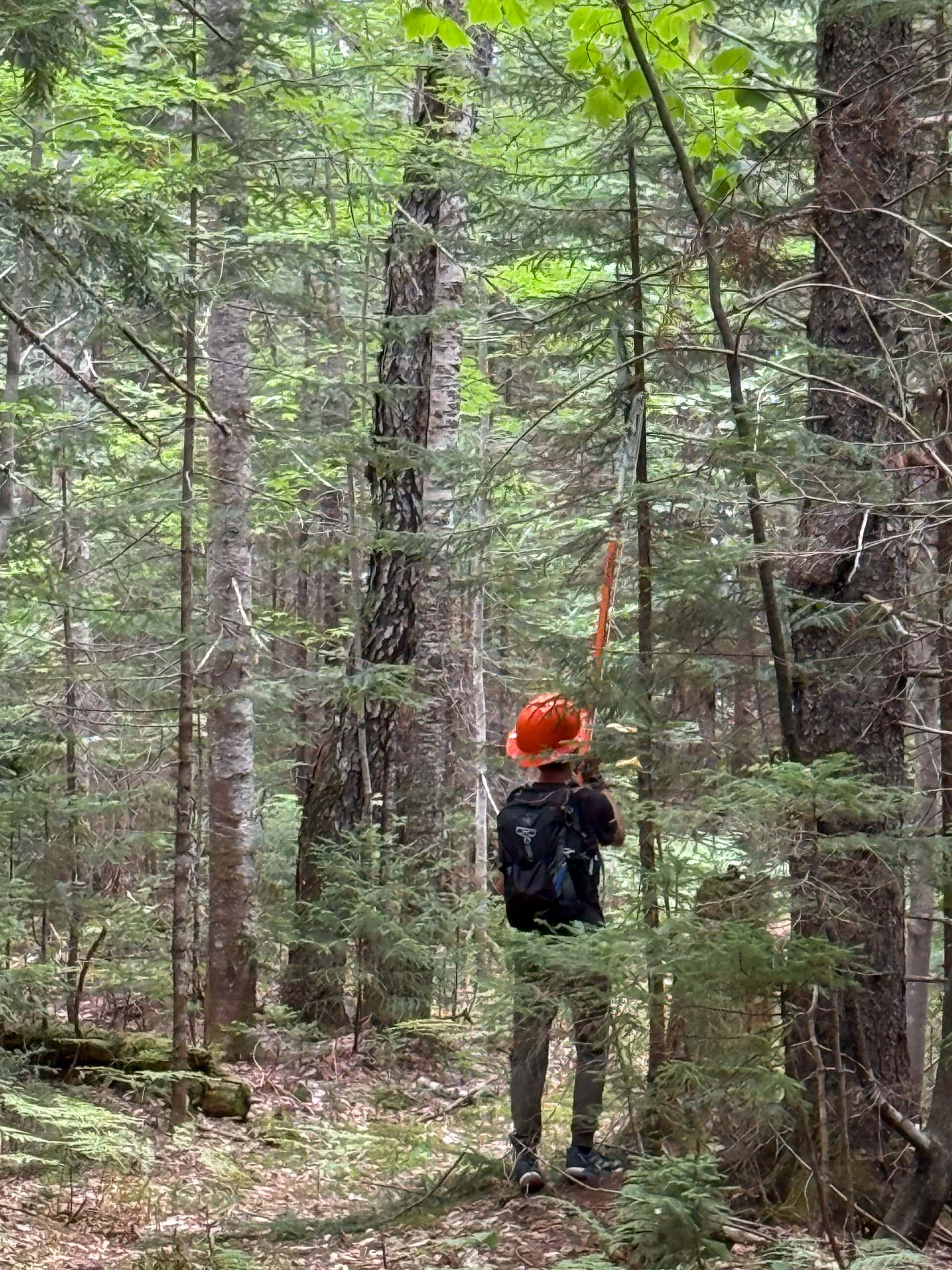 AMC Trail Building Camp - Image 14