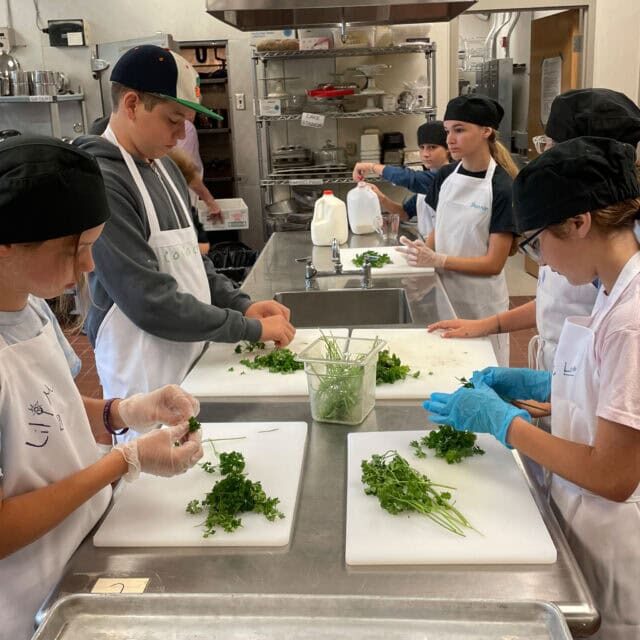 MWVS2C Culinary Cooking 2